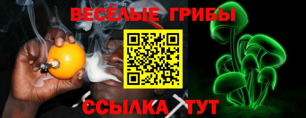 Псилоцибиновые грибы Psilocybe  магазин  наркотиков  Верхняя Пышма  Вход с VPN  Галлюциногенные грибы Cubensis 